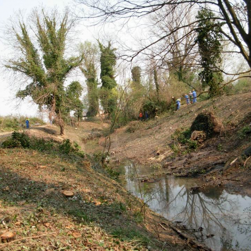 Intervento Ronchis n. 32 / 78927