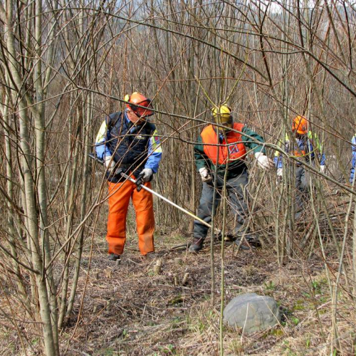 Intervento Ovaro n. 31 / 79013