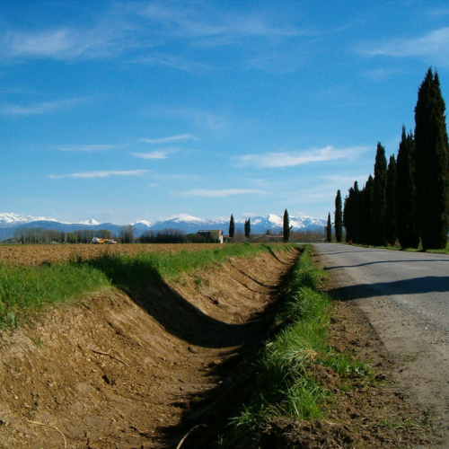 Foto riprofilatura fossati n. 26 (dopo l'intervento) / 23096