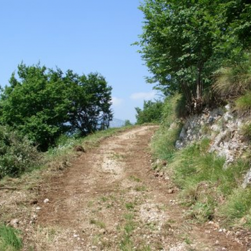 attivit‡ ripristino di una pista forestale n. 33 / 53651