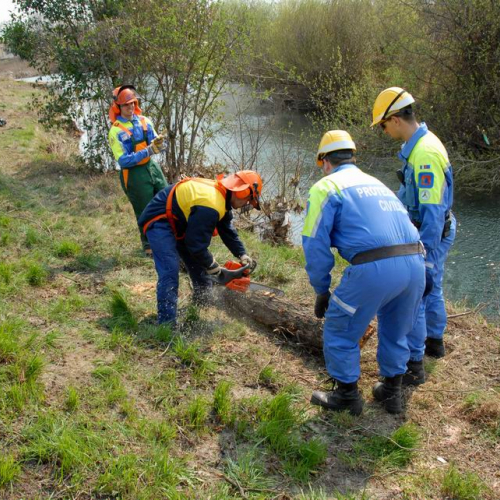 Intervento Caneva n. 34 / 78885