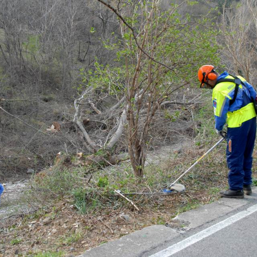 Intervento San Dorligo della Valle - Dolina n. 33 / 79145