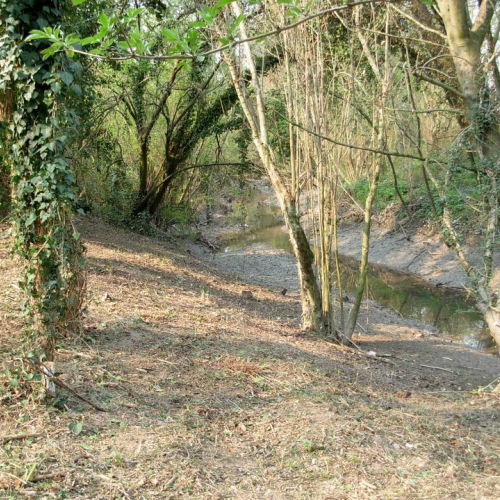 Intervento Ronchis n. 33 / 78928