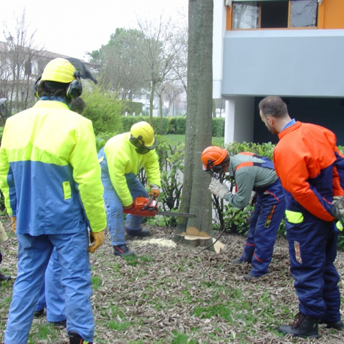 foto Cordenons 15/03/08 n. 31 / 21334