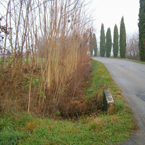 Foto riprofilatura fossati n. 28 (prima dell'intervento) / 23097