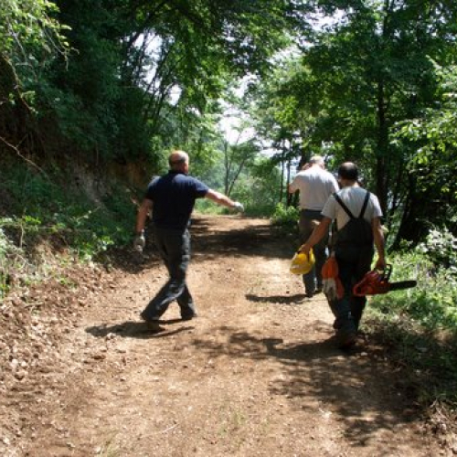 attivit‡ ripristino di una pista forestale n. 34 / 53652