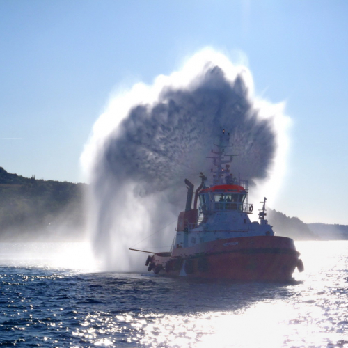 Giornate di protezione civile e soccorso n. 17 / 71237