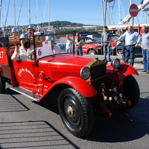 Mezzi esposti n. 19 / 71287