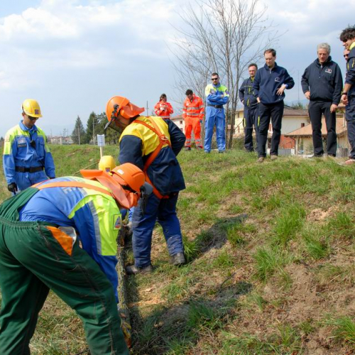 Intervento Caneva n. 35 / 78886