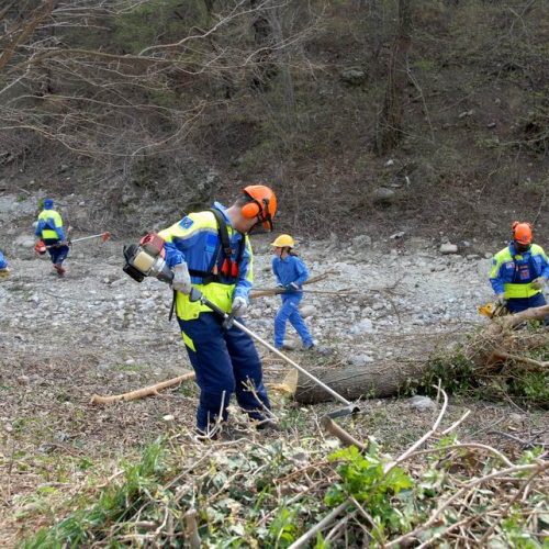 Intervento San Dorligo della Valle - Dolina n. 34 / 79146