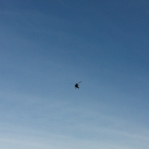 Attivit‡ di ricerca persona del 03/12 n. 24 / 102321