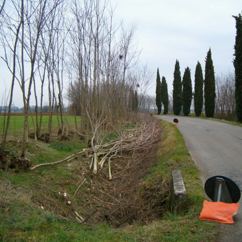 Foto riprofilatura fossati n. 1-2 (prima dell'intervento) / 23098