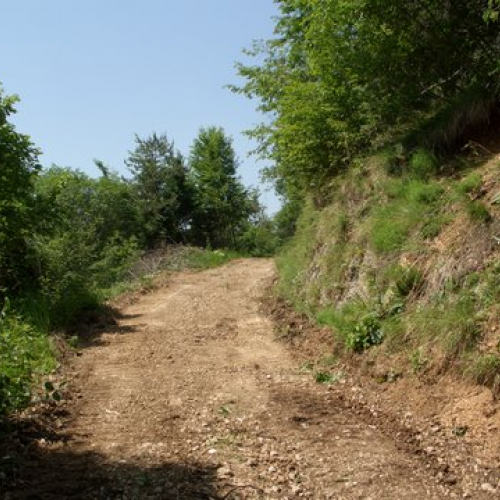 attivit‡ ripristino di una pista forestale n. 35 / 53653