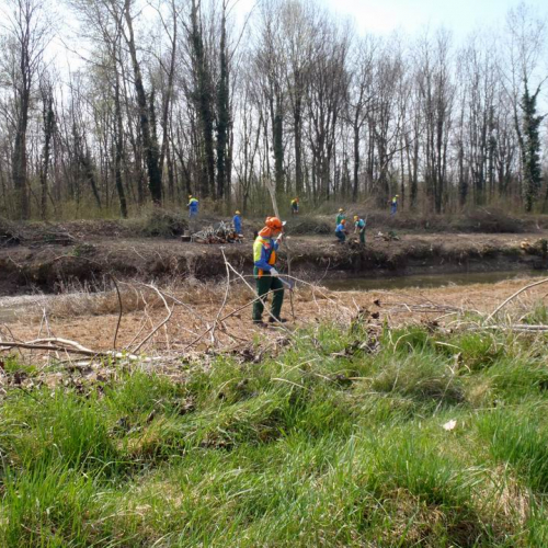 Intervento Caneva n. 36 / 78887