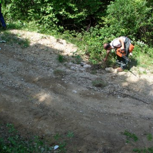 attivit‡ ripristino di una pista forestale n. 36 / 53654