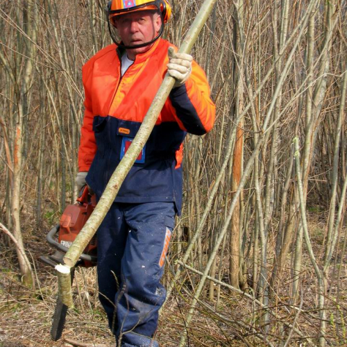 Intervento Ovaro n. 35 / 79017