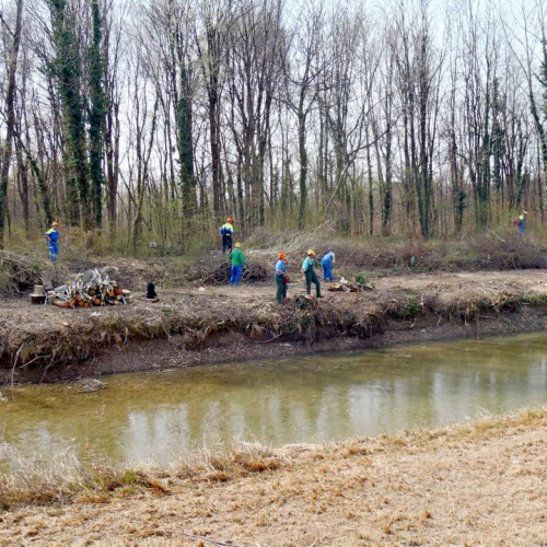 Intervento Caneva n. 37 / 78888