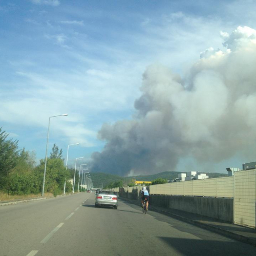 Incendio zona Crnotice n.2 / 84962