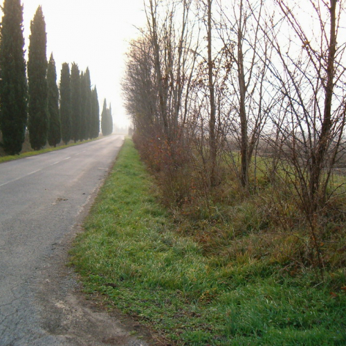 Foto riprofilatura fossati n. 31(prima dell'intervento) / 23100