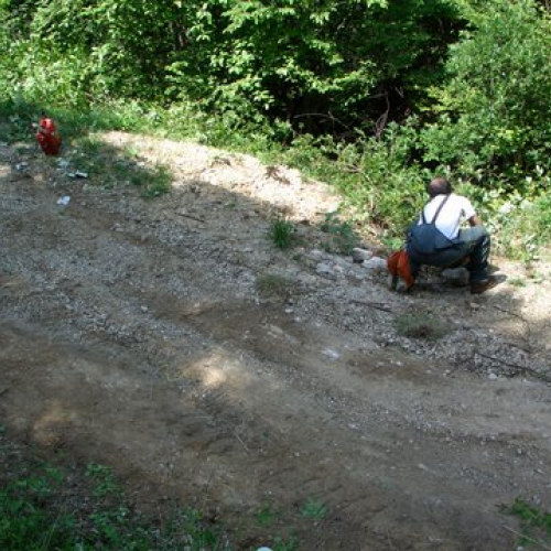 attivit‡ ripristino di una pista forestale n. 37 / 53655