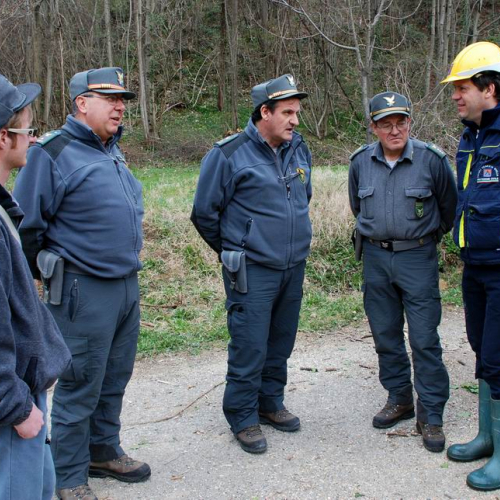 Intervento Attimis n. 37 / 78824