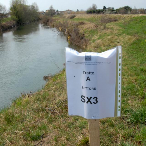 Intervento Caneva n. 38 / 78889