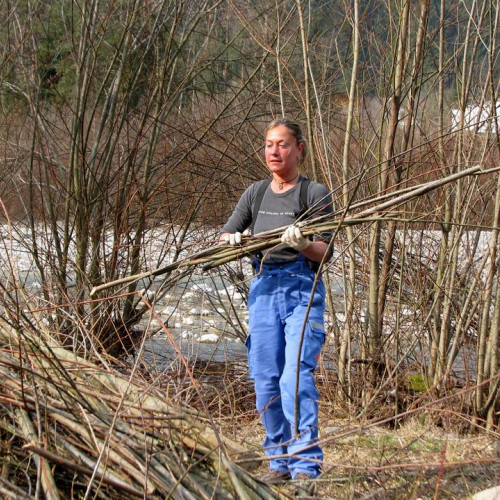 Intervento Ovaro n. 36 / 79018