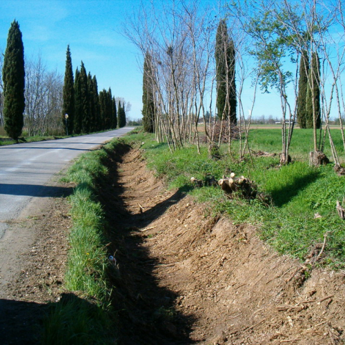 Foto riprofilatura fossati n. 31 (dopo l'intervento) / 23101