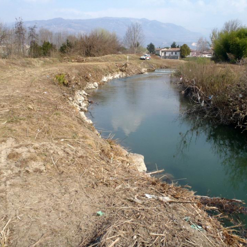 Intervento Caneva n. 39 / 78890