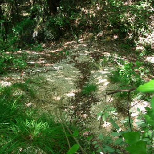 attivit‡ ripristino di una pista forestale n. 39 / 53657