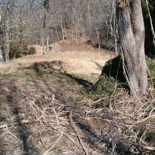 Comeglians foto 4 / 9176