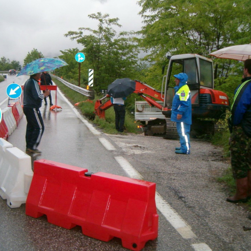 Foto OPI 602 n. 4 / 24426