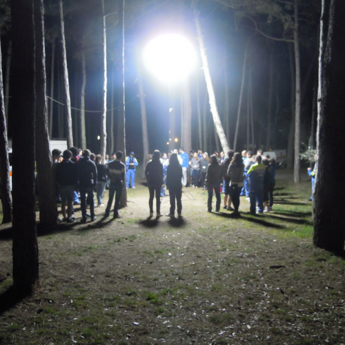 Stage 2012: attivazione impianti elettrici n. 2 / 79299