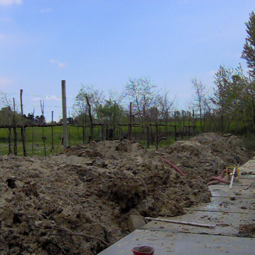 Foto OPI CD2/352.166 n. 12 / 40017