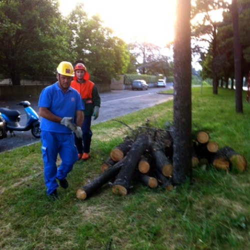Attivit‡ di prevenzione 20/06/13 n. 3 / 97116
