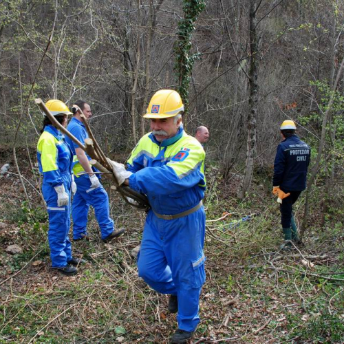 Intervento Attimis n. 39 / 78826