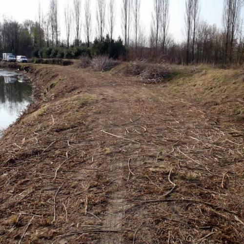 Intervento Caneva n. 40 / 78891