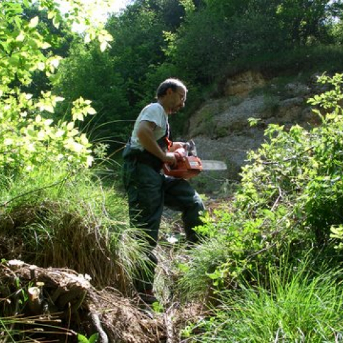 attivit‡ ripristino di una pista forestale n. 40 / 53658