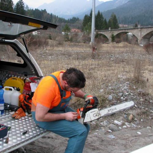 Intervento Ovaro n. 39 / 79021