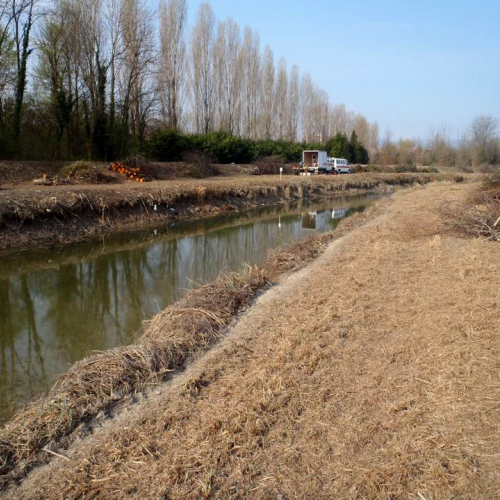 Intervento Caneva n. 41 / 78892