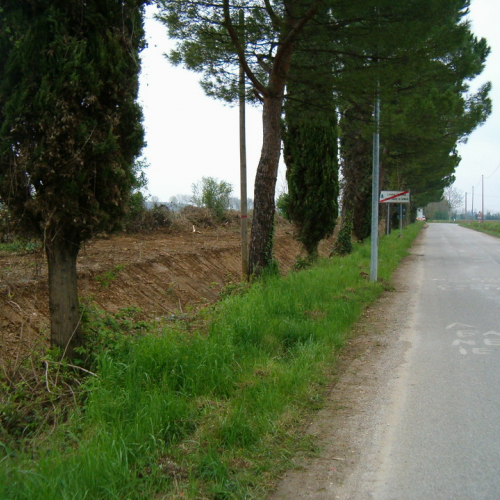 Foto riprofilatura fossati n. 33 (dopo l'intervento) / 23104
