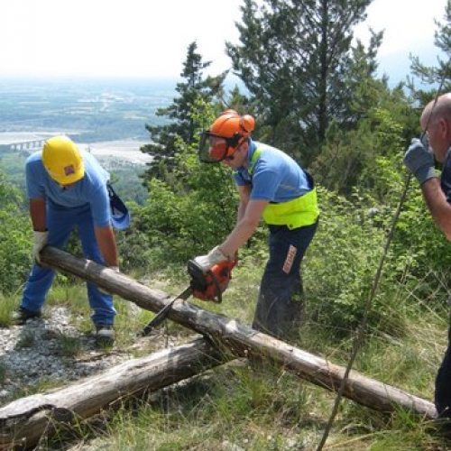 attivit‡ ripristino di una pista forestale n. 41 / 53659