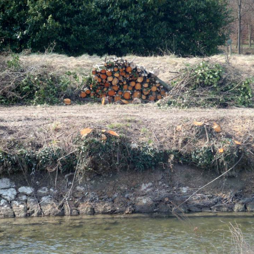 Intervento Caneva n. 42 / 78893