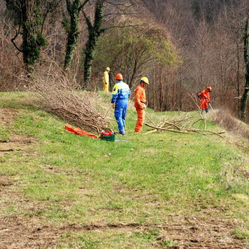 Intervento Attimis n. 43 / 78830