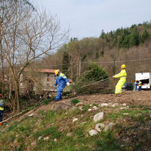 Intervento Attimis n. 44 / 78831