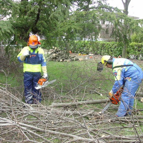 foto Cordenons 15/03/08 n. 42 / 21345