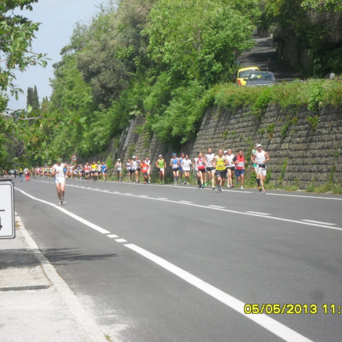 Attivit‡ supporto alla Bavisela 2013" n. 2""ttivit‡ supporto al" / 94615