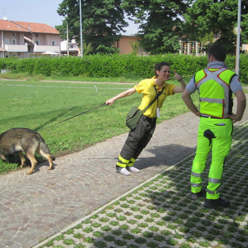 Esercitazione DOG FRIEND 2013" n. 19""sercitazione "DOG FRIE""ercitazi" / 94756