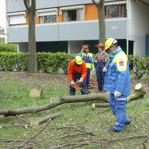 foto Cordenons 15/03/08 n. 43 / 21346