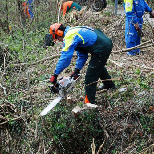 Intervento Attimis n. 46 / 78833